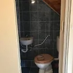 Vadrozsa Tisza-to Apartament *