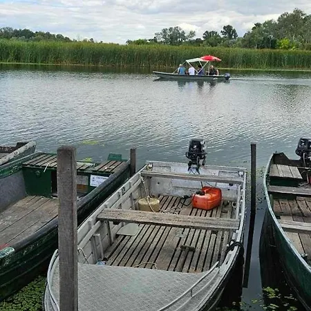 Vadrozsa Tisza-to *