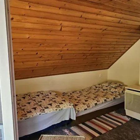 Vadrozsa Tisza-to Apartment *